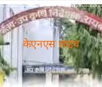 फास्फेटिक उर्वरकों के रूप में एन.पी. के. का फसल बुआई के समय करें प्रयोग