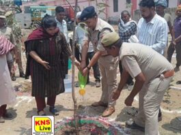 जनपद रायबरेली के डीएम, एसपी व सीडीओ ने कलेक्ट्रेट परिसर में किया वृक्षारोपण