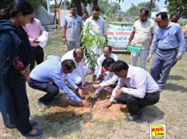 उद्यान मंत्री दिनेश प्रताप सिंह ने विश्व पर्यावरण दिवस पर किया वृक्षारोपण