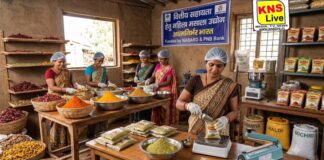 जनपद एक व्यंजन’ योजना के तहत मसाला उद्योग के लिए वित्तीय सहायता हेतु आवेदन आमंत्रित