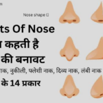नाक की बनावट से किसी भी व्यक्ति का व्यक्तित्व जान सकते हैं।
