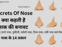 नाक की बनावट से किसी भी व्यक्ति का व्यक्तित्व जान सकते हैं।