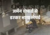 राजसमंद में जर्मन शेफर्ड डॉग से डरकर लेपर्ड भाग गया।