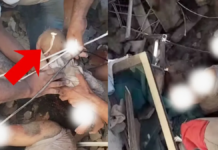 कोलंबिया में मलबे से नवजात को रेस्क्यू किया गया है।