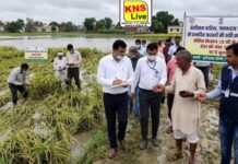जनपद रायबरेली में बेमौसम बारिश, जलभराव एवं हवा से प्रभावित फसलों की क्षति का होगा सर्वेक्षण,बीमित किसान 72 घंटे के भीतर टोल फ्री नंबर 14447 पर दें सूचना