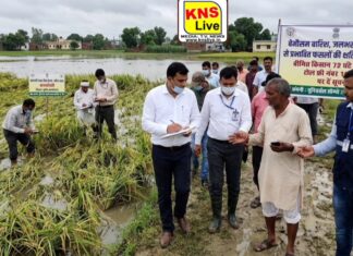 जनपद रायबरेली में बेमौसम बारिश, जलभराव एवं हवा से प्रभावित फसलों की क्षति का होगा सर्वेक्षण,बीमित किसान 72 घंटे के भीतर टोल फ्री नंबर 14447 पर दें सूचना