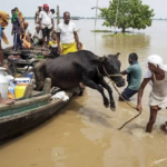बिहार में गंगा नदी का जलस्तर लगातार बढ़ रहा है। इस बीच पटना के कई निचले इलाकों में बाढ़ का पानी घुस गया