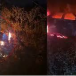 सीहोर रोड पर खजुरिया और पारवा के बीच हुए भयानक सड़क हादसे में दो युवक गंभीर रूप से घायल हो गए,
