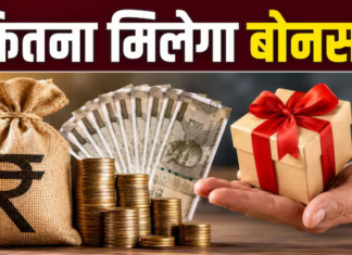 सैलरी कितनी होती है? जानें, उनकी बेसिक सैलरी, बोनस, महीने की कमाई कितनी